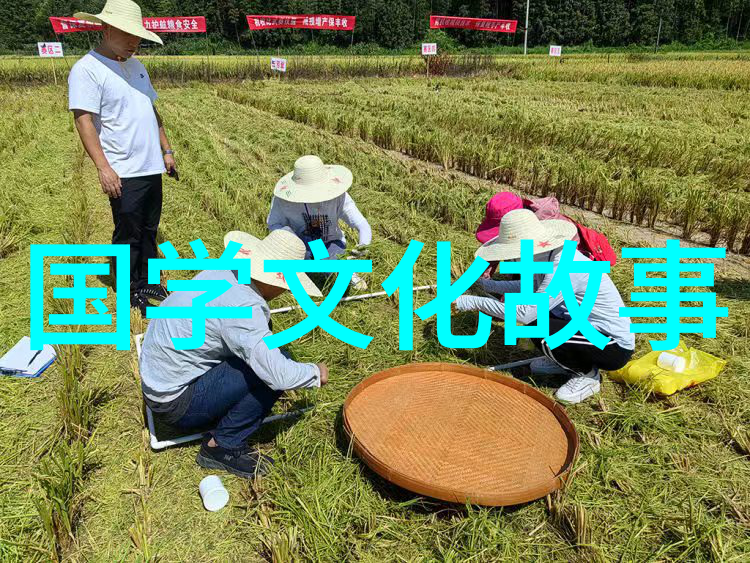老蚌生珠